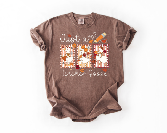 FALL SILLY GOOSE TEACHER TEE